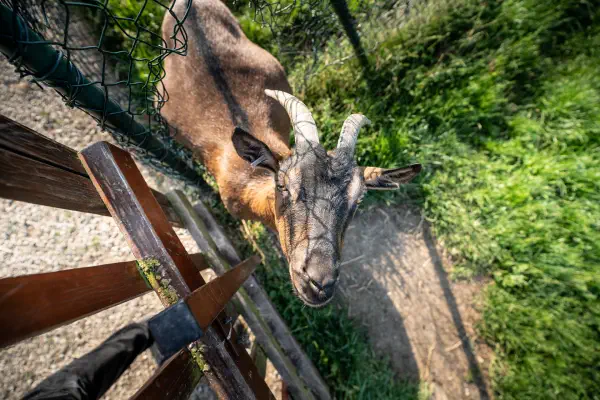 Dětské hřiště FARMIČKA